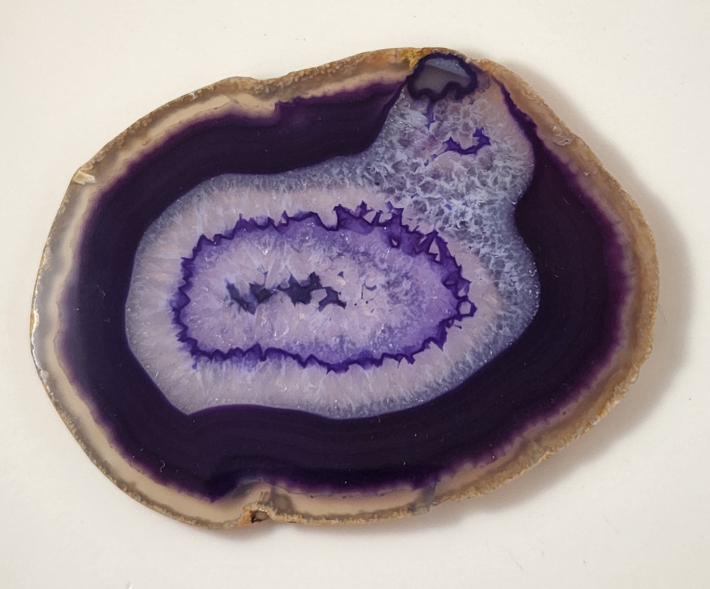 Agate Geode Slices - Purple