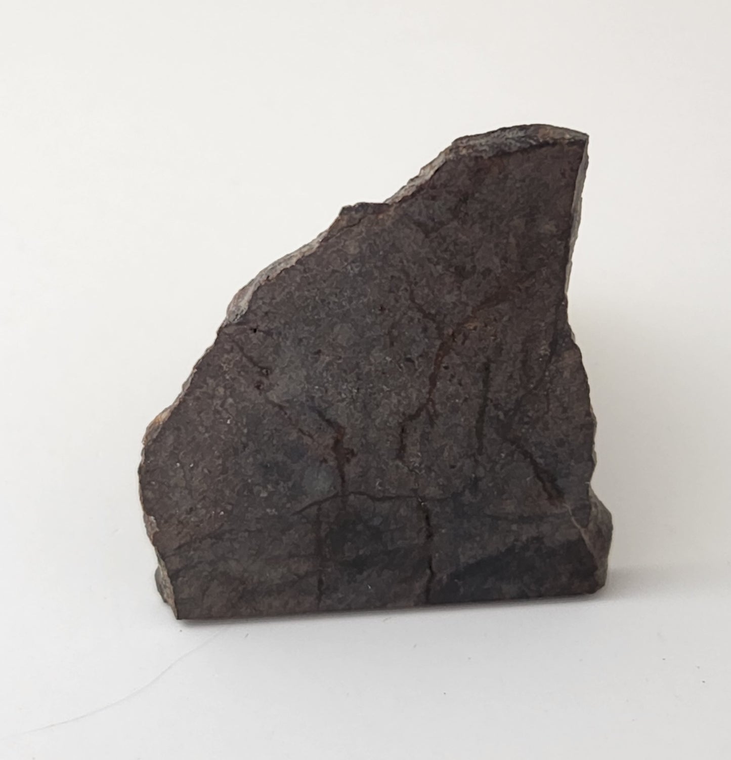 Dhofar 020 Meteorite