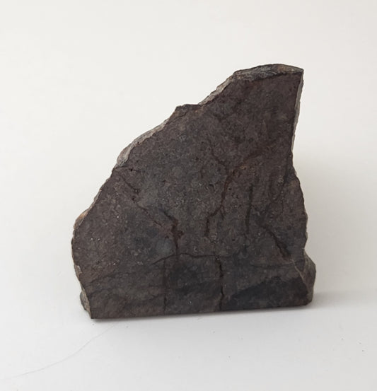 Dhofar 020 Meteorite