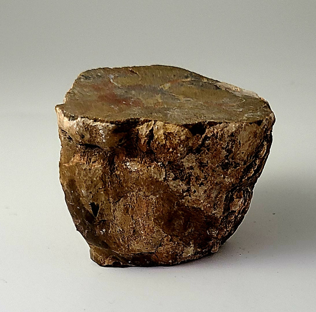 Petrified Wood Chunk