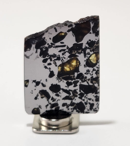 Seymchan Pallasite Meteorite