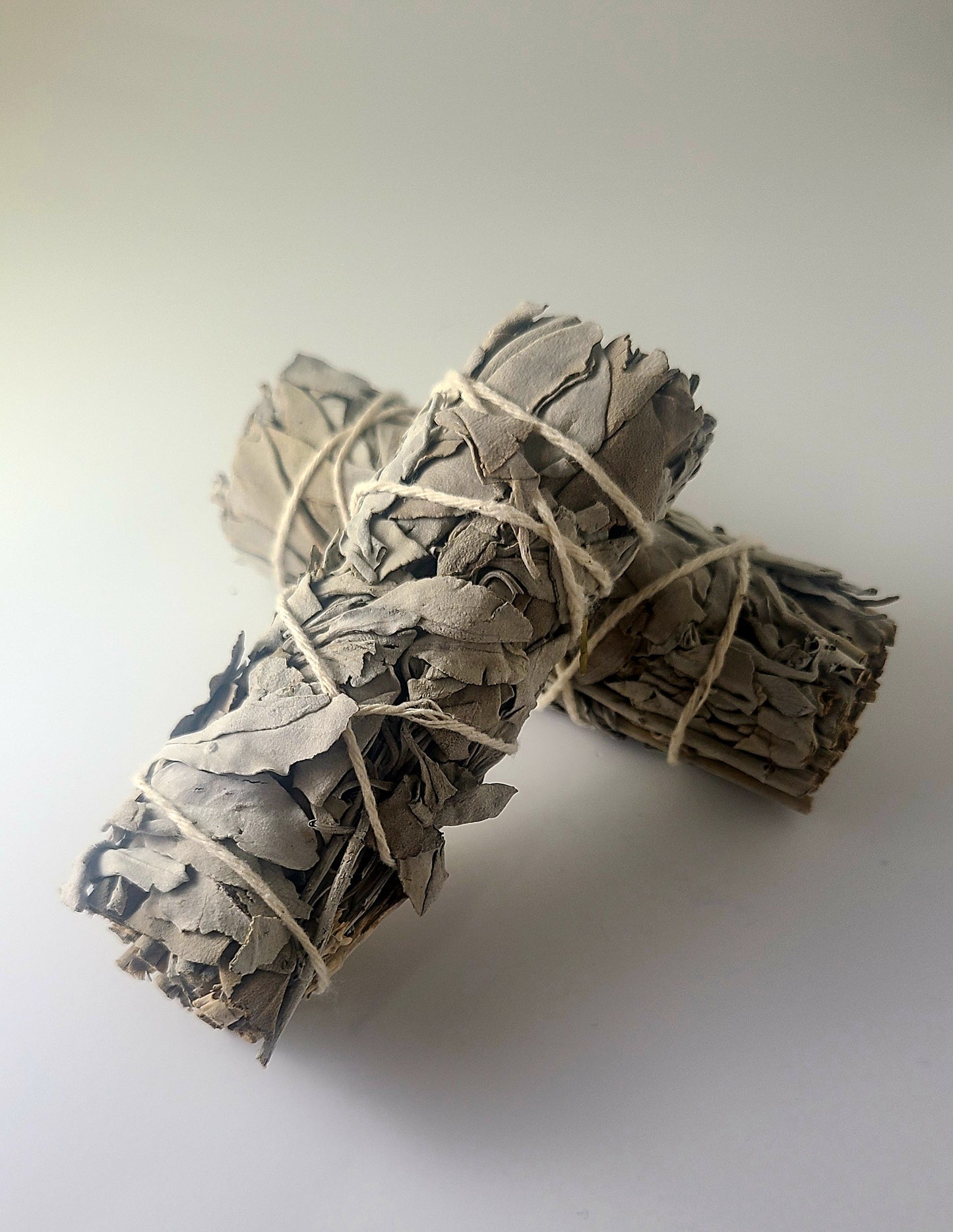 Sage Bundle